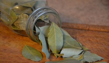 Подрібніть та покладіть на радіатор. Ефект перевершить ваші очікування