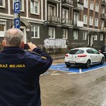 Podrobione karty dla niepełnosprawnych. Jak rozpoznać falsyfikat? 