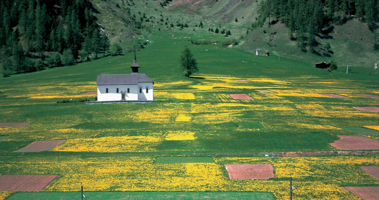 Podróżując koleją panoramiczną, zobaczymy wiele urokliwych zakątków kraju /Switzerland Tourism