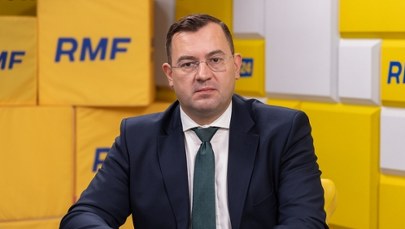 Podrzucony dzik z ASF pod Piotrkowem Trybunalskim. Co wiadomo o sprawie?