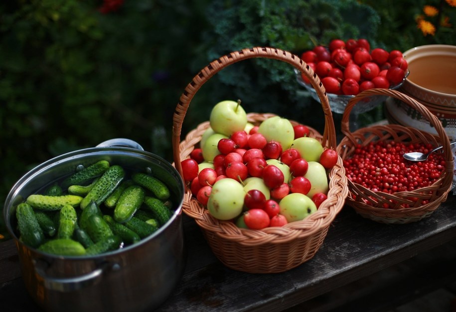 Podstawą prawidłowej diety warzywa i owoce /Smirnov Vladimir /PAP
