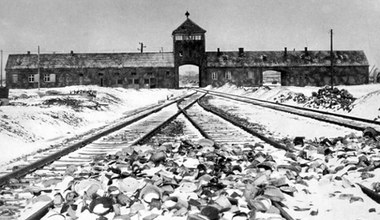 Podstępny zabójca z Auschwitz