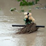 ​Podtopienia i powodzie. Nowa polska rzeczywistość