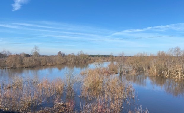 Podtopienia na Mazowszu. Wylewa rzeka Liwiec