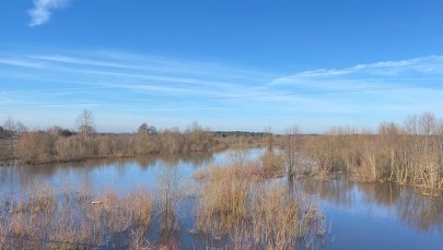 Podtopienia na Mazowszu. Wylewa rzeka Liwiec