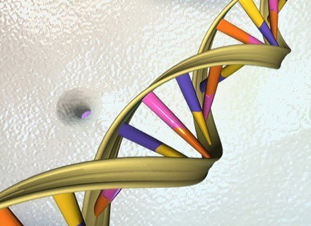 Podwójna helisa ludzkiego DNA /AFP