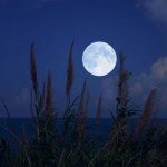 Podwójna pełnia Księżyca w maju. Te znaki zodiaku szczególnie ją odczują