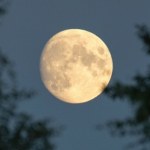 Podwójna pełnia w maju 2026. Kwiatowy i Niebieski Księżyc pojawią się na niebie