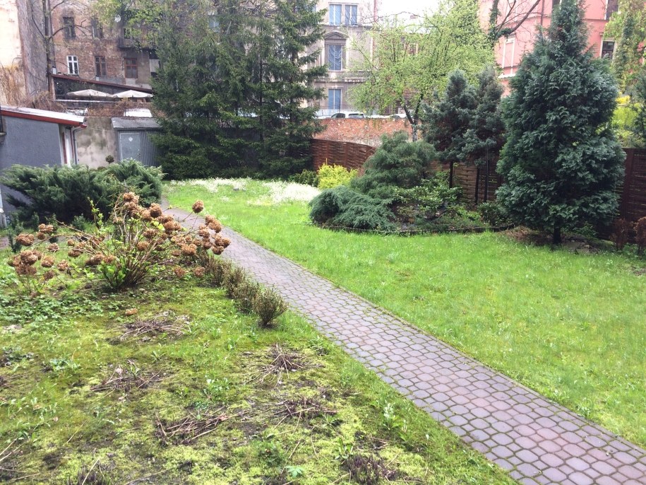 Podwórze kamienicy przy ulicy Studenckiej, na którym będą prowadzone poszukiwania /Paweł Pawłowski /RMF FM