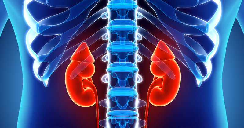 Podwyższony poziom kreatyniny świadczy o zaburzonej pracy nerek /123RF/PICSEL