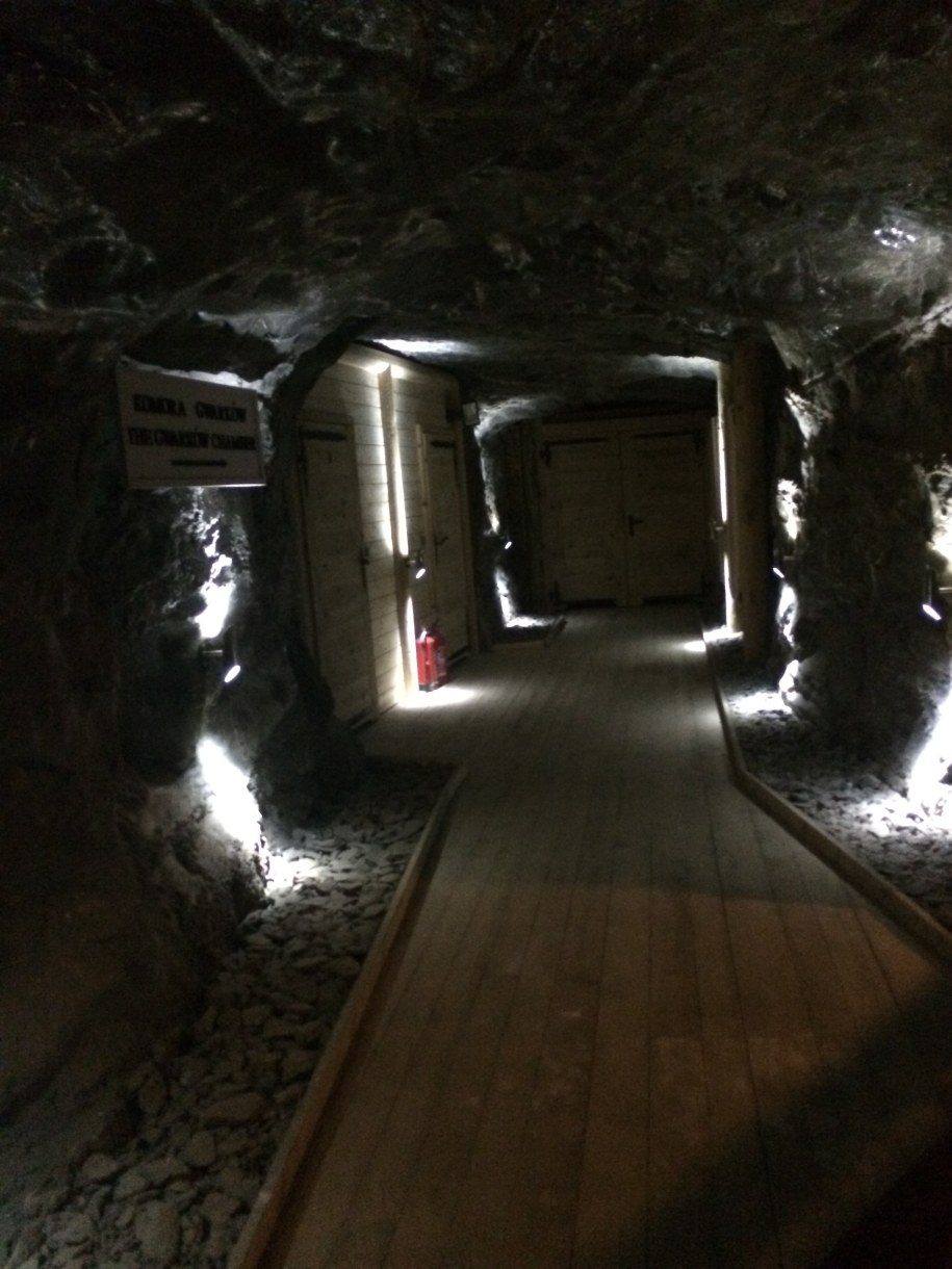 Podziemne korytarze i chodniki mają prawie 250 km długości /Marcin Buczek /RMF FM