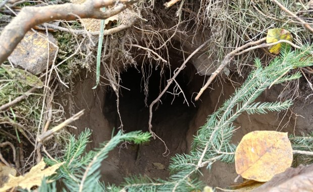 Podziemny tunel odkryty w pobliżu granicy z Białorusią