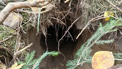 Podziemny tunel odkryty w pobliżu granicy z Białorusią