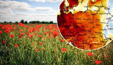 Pogoda bliska ideału. Gorzej będzie tylko w nocy