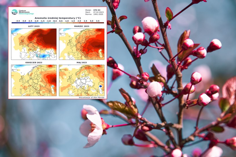 Pogoda długoterminowa na luty, marzec, kwiecień i maj. Co mówią prognozy? /123RF/PICSEL