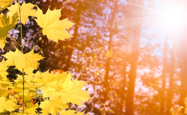 Pogoda na 11 listopada. Jaki będzie długi weekend?