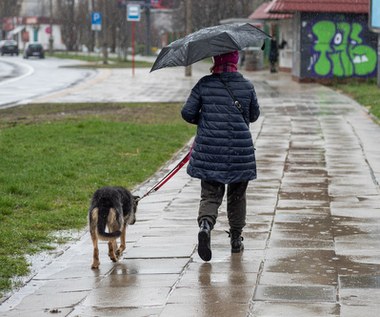 Pogoda na niedzielę. Pochmurno i deszczowo