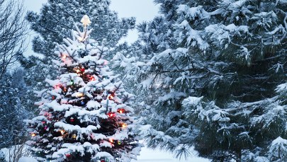 Pogoda na święta Bożego Narodzenia 2021. Czy będzie śnieg? 