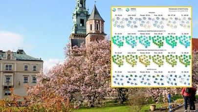 Pogoda na święta. Karty rozda wyż