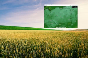 Pogoda nas zaskoczy. W czerwcu możliwe przymrozki