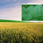 Pogoda nas zaskoczy. W czerwcu możliwe przymrozki