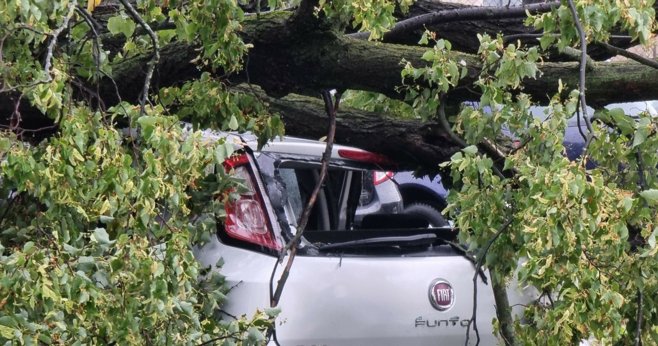 Pogoda nie rozpieszcza kierowców. Takiej liczby szkód z autocasco nie było w Polsce od dawna! /Łukasz Solski / East News /Agencja SE/East News