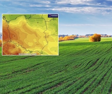 Pogoda podzieli Polskę na różne strefy. Chodzi o wiatr i temperatury