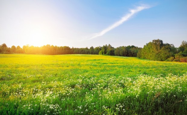 Pogoda w majówkę. Najnowsza prognoza