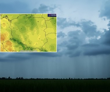 Pogoda w Polsce zaczyna się zmieniać. Ma w tym udział Oldenburgia