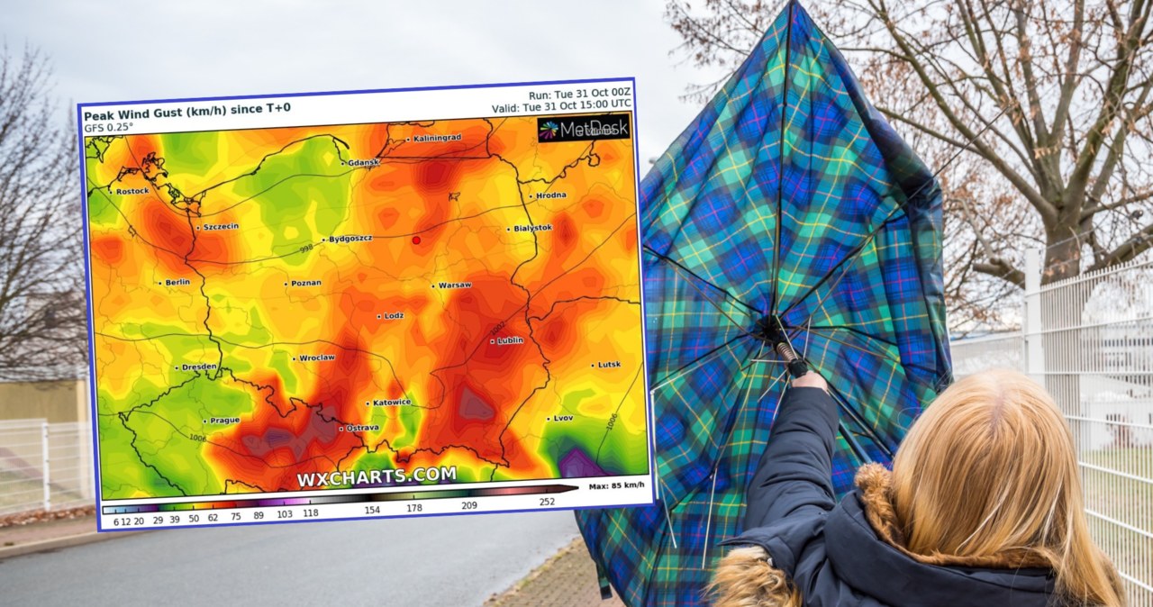Pogoda we wtorek będzie wymagająca: nie zabraknie opadów deszczu i silnego wiatru. Wystosowano alerty IMGW i RCB /animaflorapicsstock/123rf/WXCHARTS /