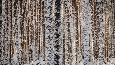 Pogoda we wtorek. Gdzie spadnie śnieg? [SPRAWDŹ PROGNOZĘ]