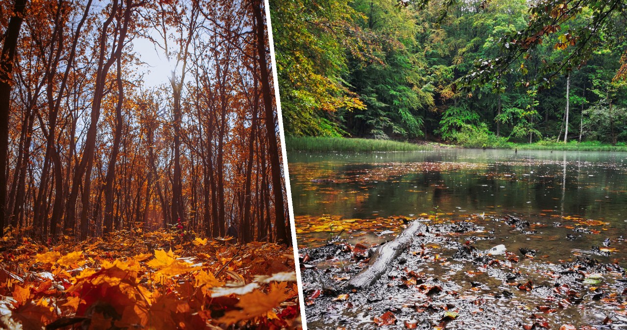 Pogoda we wtorek zacznie się poprawiać na zachodzie, Jednak we wschodniej połowie Polski wciąż będzie sporo chmur i pojawią się słabe, przelotne deszcz - prognozuje IMGW /ruslan117/tporaj /123RF/PICSEL