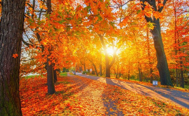 Pogoda znowu nas zaskoczy! W poniedziałek nawet 20 stopni