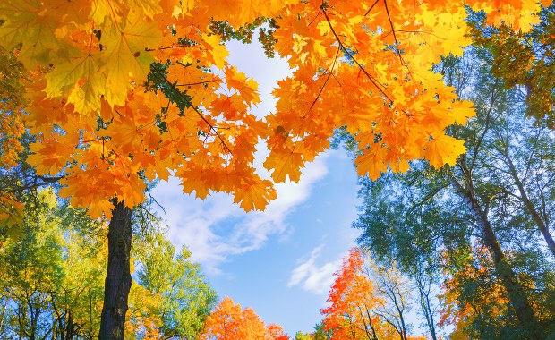 Pogodny dzień i mglista noc. Sprawdź prognozę pogody!