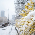 Pogodowa żonglerka w Polsce. W tych regionach może spaść śnieg