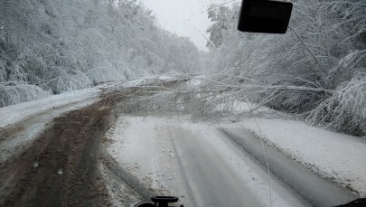 Pogodowe problemy w całej Polsce. Zasypane drogi, tysiące odbiorców bez prądu