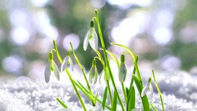 Pogodowe załamanie w Śląskiem