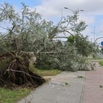Pogodowy armagedon w Kielcach. Połamane drzewa i zalane ulice