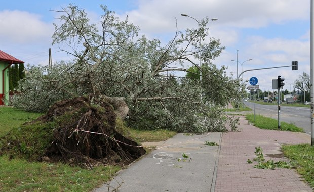 Pogodowy armagedon w Kielcach. Połamane drzewa i zalane ulice