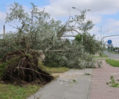 Pogodowy armagedon w Kielcach. Połamane drzewa i zalane ulice