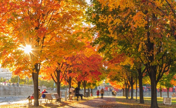Pogodowy zwrot już od wtorku. Co nas czeka?