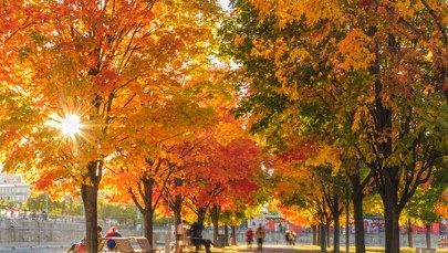 Pogodowy zwrot już od wtorku. Co nas czeka?