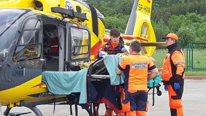 Pogranicznicy uratowali mężczyznę użądlonego przez pszczoły