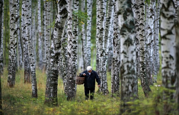 Pogranicznicy z Warmii i Mazur apelują, aby wchodząc do lasu zwracać uwagę na tablice informacyjne /Vladimir Smirnov /PAP/EPA