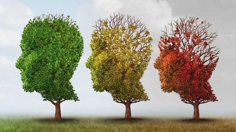 Pojawiły się mocne dowody na związek opryszczki z... chorobą Alzheimera /Geekweek
