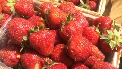 Pojawiły się pierwsze truskawki! Ich cena może jednak odstraszyć