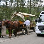 Pojazdy zastąpią konie w Tatrach? Będą kolejne testy elektrycznych busów