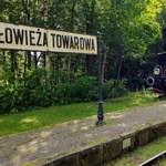 Pojechał na jedną noc, został na ponad 20 lat. "To było irracjonalne"