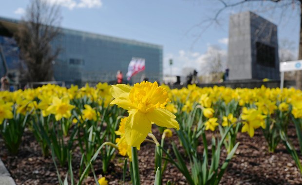 Pokaz dwóch filmów o Zagładzie w przeddzień 80. rocznicy powstania w getcie warszawskim