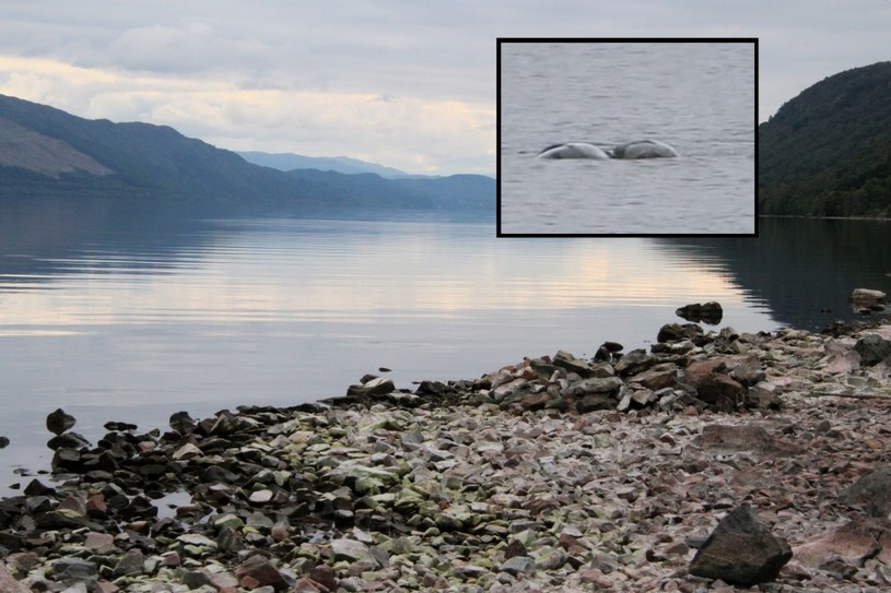 Pokazała „najbardziej fascynujące jak dotąd" zdjęcia Potwora z Loch Ness 